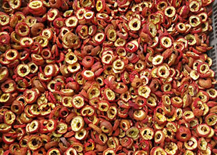 山楂烘干机——山楂烘干机新机器生产厂家