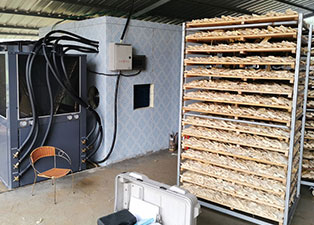 萝卜烘干机设备