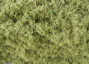 金银花烘干机小型号的多少钱一台