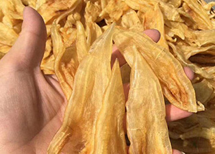 鱼胶烘干机多少钱?