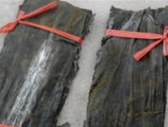 海带紫菜烘干解决方案