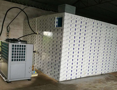 福建红薯粉烘干