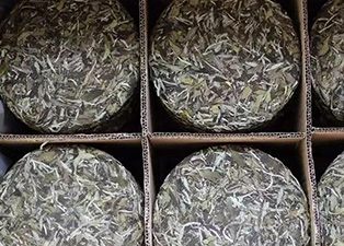 白茶烘干工艺