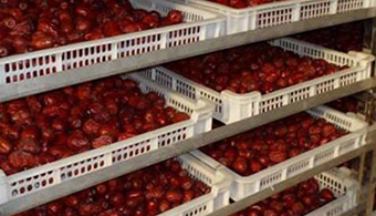 烘干机怎样烘红枣才是最好的