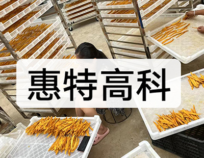 云南芒果烘干案例展示